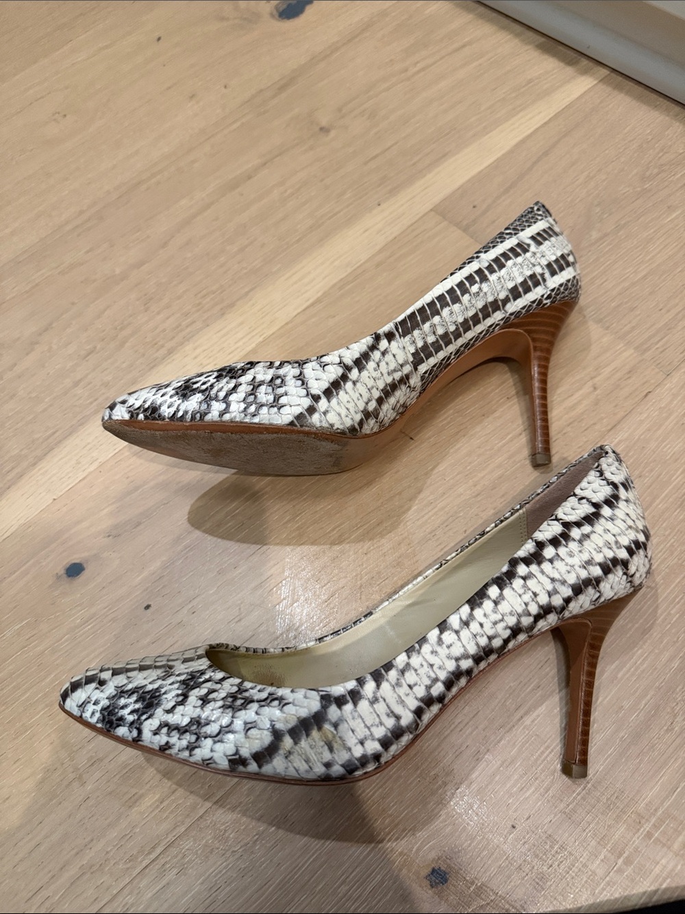 Coach Snake-Print Pointed-Toe Pumps in Black & White